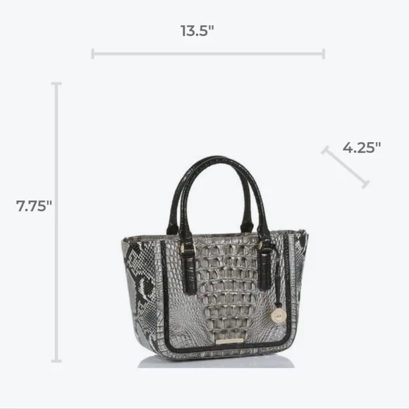 ๐ฅณ๐HOST PICK! ๐๐ฅณ ๐ค BRAHMIN STEEL FONTAINE Small Ashlee Handbag ๐ค - Picture 8 of 10